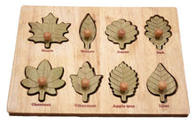 Load image into Gallery viewer, Natural Leaf Puzzle
