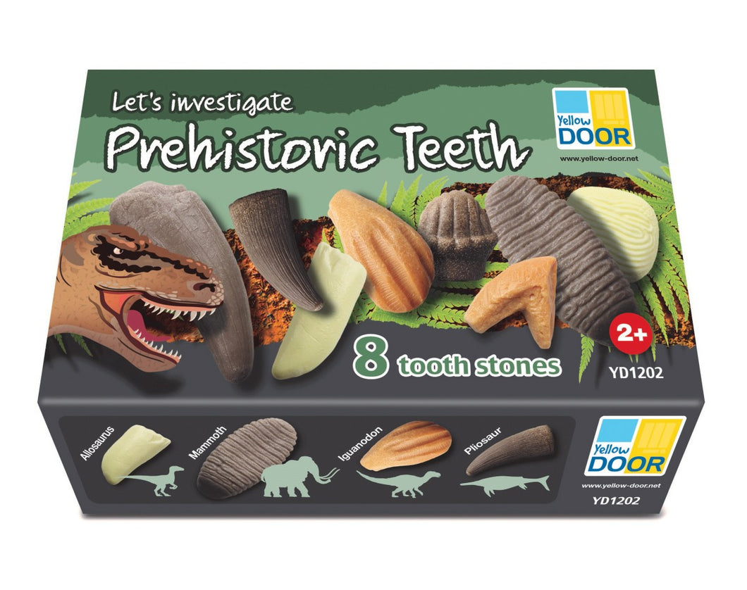 Let's Investigate Prehistoric Teeth