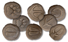 Load image into Gallery viewer, Let&#39;s Investigate Farmyard Footprints Tactile Stones
