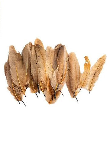 Craft Feathers Brown
