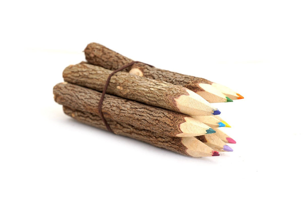 Twig Pencil Set