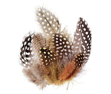 Load image into Gallery viewer, Guinea Fowl Feathers Natural
