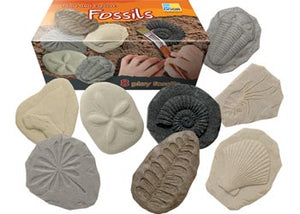 Let's Investigate Fossils Tactile Stones